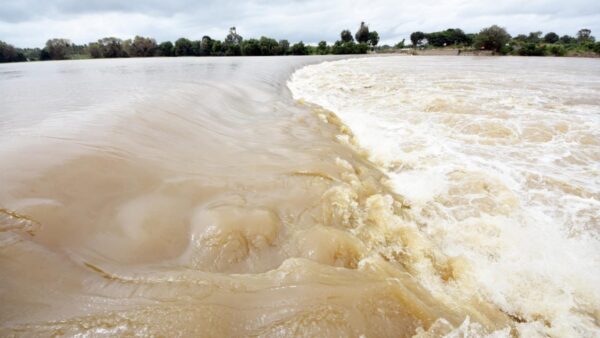 Vellore District – Flood Alert issued to the residents of the Gudiyatham Kowndanya river bank!