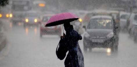 Rain is expected from November 11 to 14 in Tamil Nadu, according to the Tamil Nadu Weatherman