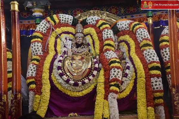Karthigai Deepam Festival 2022 – Day 8 Night