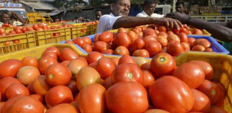 Do you eat tomatoes in excess amounts, then be careful about these health issues!!