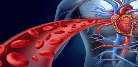 Identify life threatening diseases at an early stage itself by knowing these important signs of poor blood circulation !!