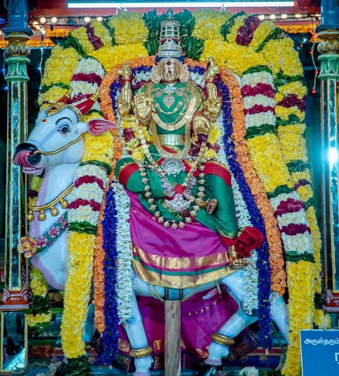 திருவண்ணாமலை அண்ணாமலையார் திருக்கோவிலில் நவராத்திரி ஐந்தாம் நாள்!