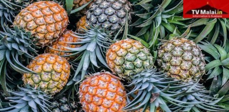 Do you know how excess intake of pineapples would affect our health?
