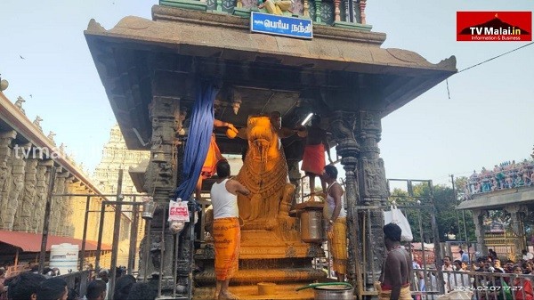 திருவண்ணாமலை அருணாச்சலேஸ்வரர் திருக்கோவிலில் நேற்று (07.02.2024) தை மாத பிரதோஷம்!