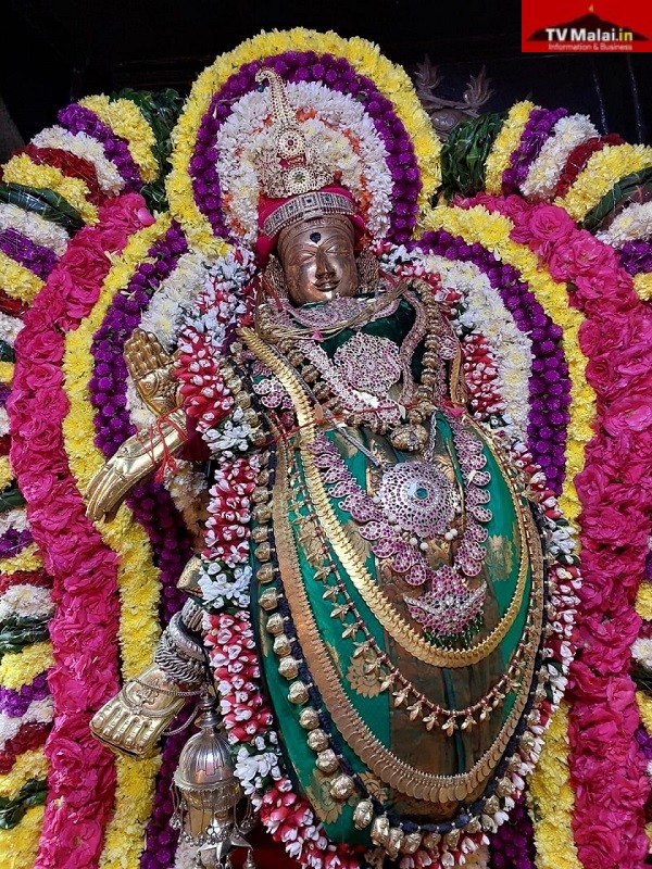 திருவண்ணாமலை அண்ணாமலையார் திருக்கோயிலில் நேற்று (22.02.2024) மாசி மாதம் வளர்பிறை சதுர்த்தசி திதி!