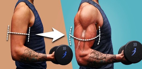 Know about these important foods that we must eat for muscle growth!!