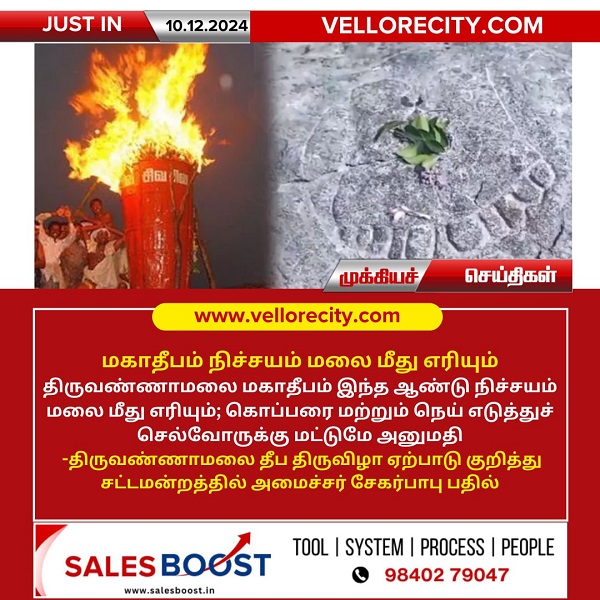 திருவண்ணாமலை மகாதீபம் மலை மீது எரியும்: அமைச்சர் உறுதி!