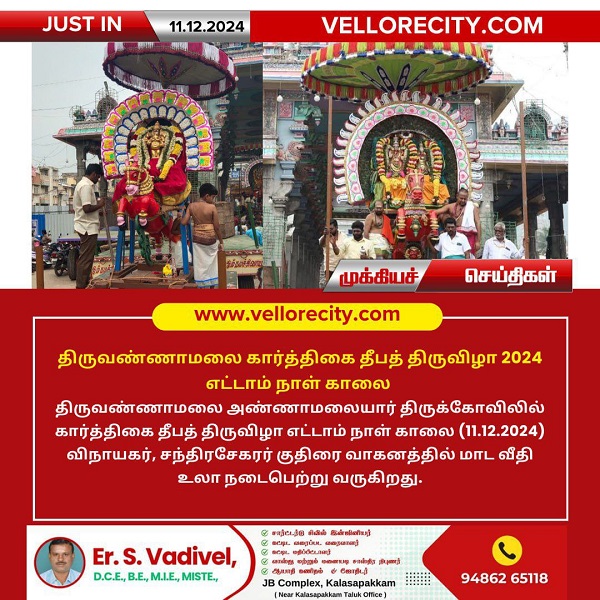 திருவண்ணாமலை கார்த்திகை தீபத் திருவிழா 2024 – எட்டாம் நாள் காலை!