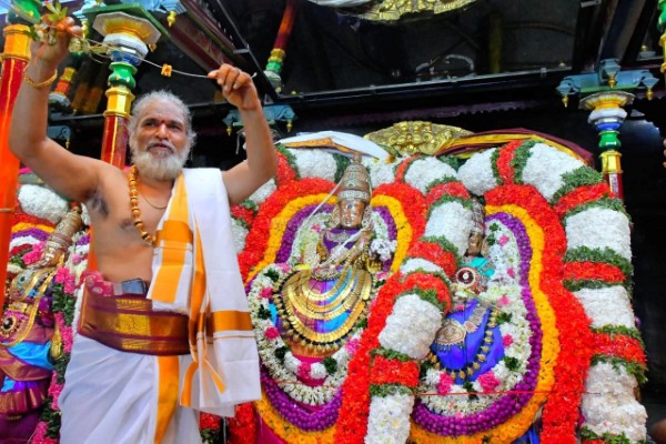 திருவண்ணாமலை அண்ணாமலையார் திருக்கோவிலில் பங்குனி உத்திர திருக்கல்யாண வைபவம்!