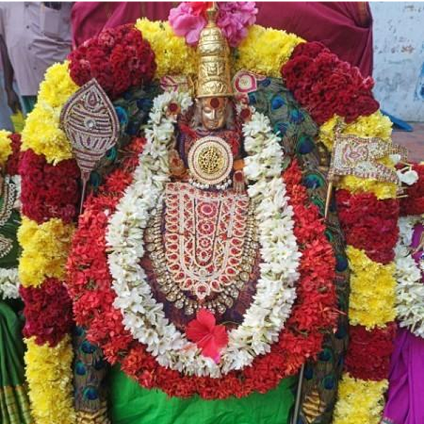 எலத்தூர் மோட்டூர் நட்சத்திர கோவிலில் பங்குனி உத்திர திருவிழா தொடக்கம்!