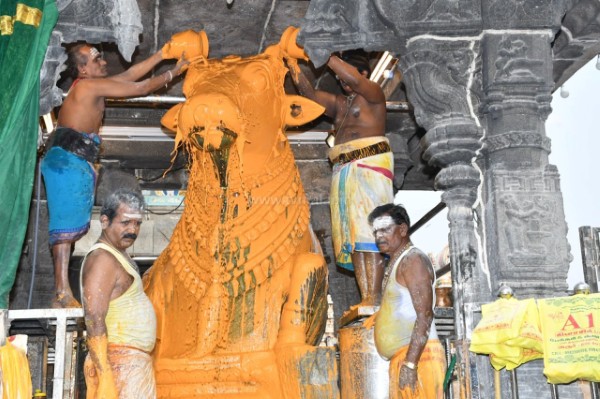 திருவண்ணாமலை அருணாச்சலேஸ்வரர் கோவிலில் பங்குனி மாத பௌர்ணமி பிரதோஷம்!