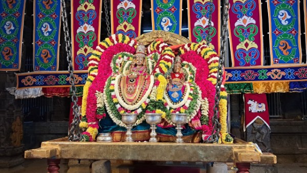 திருவண்ணாமலை அருள்மிகு அருணாசலேஸ்வரர் திருக்கோவில் ஊஞ்சல் உற்சவம்!