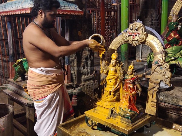 திருவண்ணாமலை அருணாச்சலேஸ்வரர் கோவிலில் சித்திரை மாத அமாவாசை பிரதோஷம்!