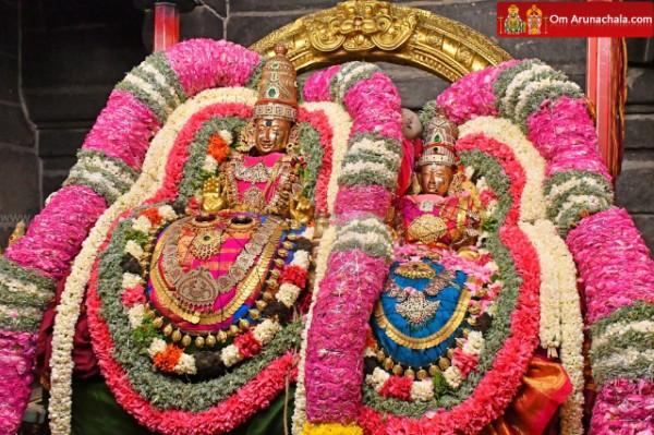 திருவண்ணாமலை அருள்மிகு அருணாசலேஸ்வரர் திருக்கோயில் சித்திரை வசந்த உற்சவம் இரண்டாம் நாள்!