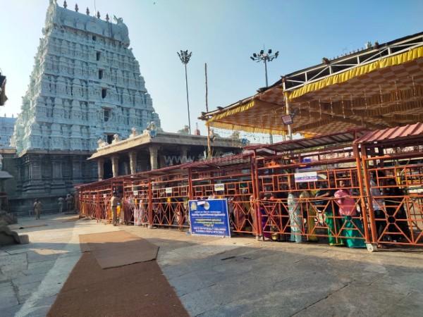 திருவண்ணாமலை அண்ணாமலையார் கோவிலில் நீண்ட வரிசையில் காத்திருக்கும் பக்தர்கள்!