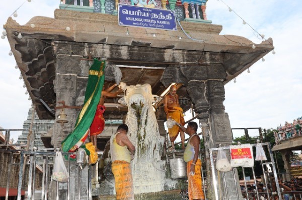 திருவண்ணாமலை அருணாச்சலேஸ்வரர் கோவிலில் வைகாசி மாத அமாவாசை பிரதோஷம்!