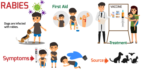 Important things to know about rabies disease, take care!!
