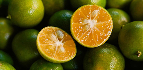 How consuming Calamansi will improve our health?
