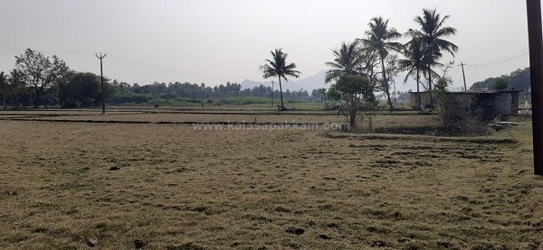 field-photo4-28.03.2022-1