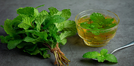 Unknown health benefits we could get by consuming spearmint!!