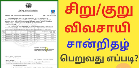 How to Apply for Small/Marginal Farmer Certificate Online Easily!!