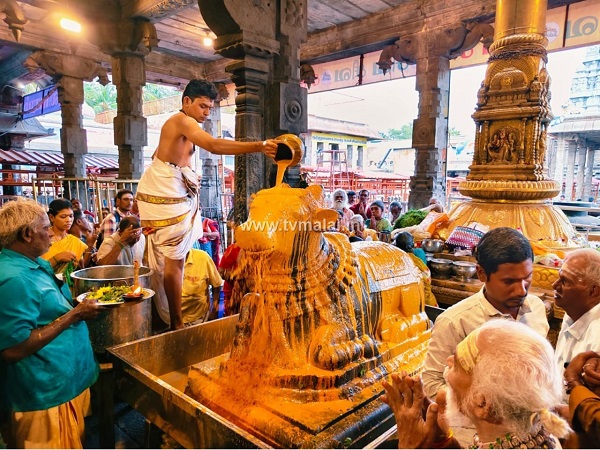 திருவண்ணாமலை அருணாச்சலேஸ்வரர் கோவிலில் புரட்டாசி  மாத அமாவாசை பிரதோஷம்!