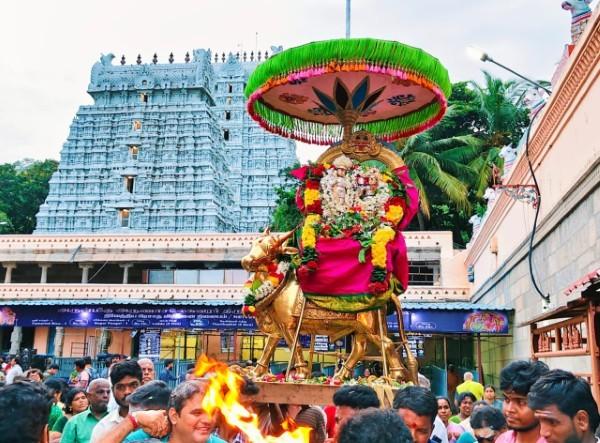 திருவண்ணாமலை அருணாச்சலேஸ்வரர் கோவிலில் புரட்டாசி மாத பௌர்ணமி பிரதோஷம்!