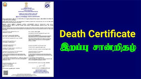 death-certificate111125