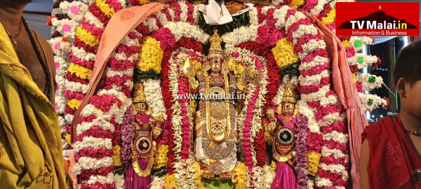 திருவண்ணாமலை அருள்மிகு அண்ணாமலையார் திருக்கோவிலில் முருகர் தெப்பல் உற்சவம்!