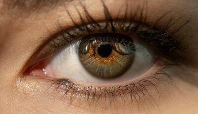 Simple Ways to Protect Your Eyes from Computer Screens