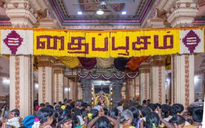இரத்தினகிரி பாலமுருகன் கோயிலில் தைப்பூச சிறப்பு தரிசனம்!