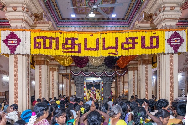 இரத்தினகிரி பாலமுருகன் கோயிலில் தைப்பூச சிறப்பு தரிசனம்!