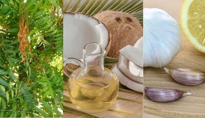 How to Get Rid of Head Lice Naturally: Easy Home Solutions