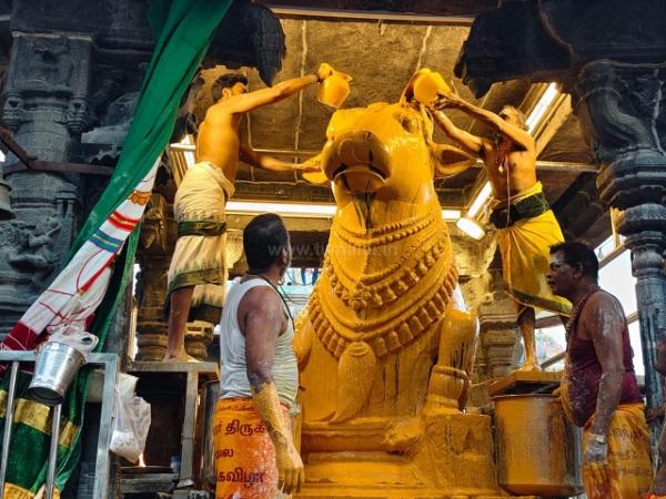 திருவண்ணாமலை அருணாச்சலேஸ்வரர் கோவிலில் மார்கழி மாத அமாவாசை பிரதோஷம்!