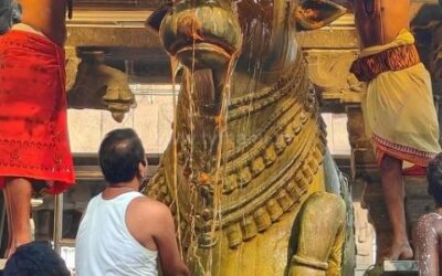 திருவண்ணாமலை அருணாச்சலேஸ்வரர் கோவிலில் பங்குனி மாத அமாவாசை பிரதோஷம்!