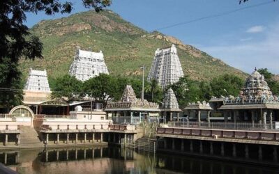 திருவண்ணாமலை அருணாசலேஸ்வரர் திருக்கோவில் – பங்குனி உத்திரம் திருக்கல்யாண உற்சவம்!