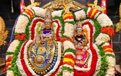 திருவண்ணாமலை அருள்மிகு அருணாசலேஸ்வரர் திருக்கோயில் சித்திரை வசந்த உற்சவம் ஏழாம் நாள்!