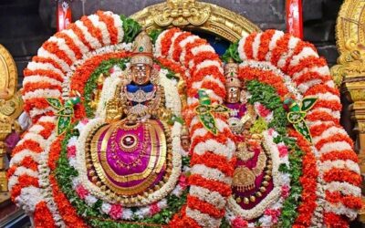 திருவண்ணாமலை அருள்மிகு அருணாசலேஸ்வரர் திருக்கோயில் சித்திரை வசந்த உற்சவம் முதல் நாள்!