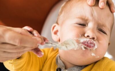 Best Foods to Introduce to Babies Between 6 and 9 Months