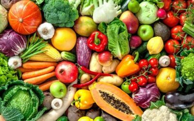 Foods to Limit During Recovery for Better Health