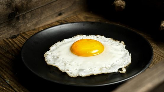 egg-210726